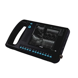 CCB-3000