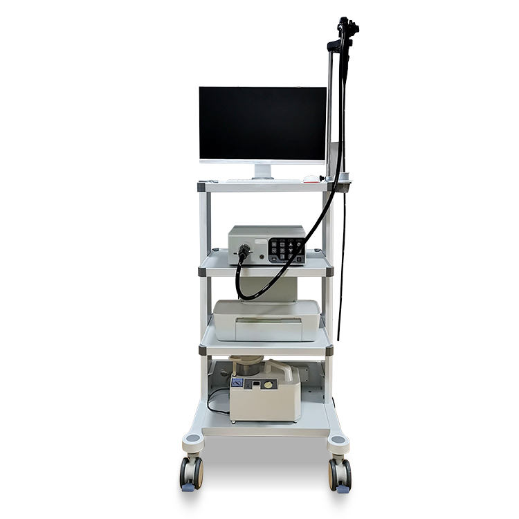 Veterinary Endoscope